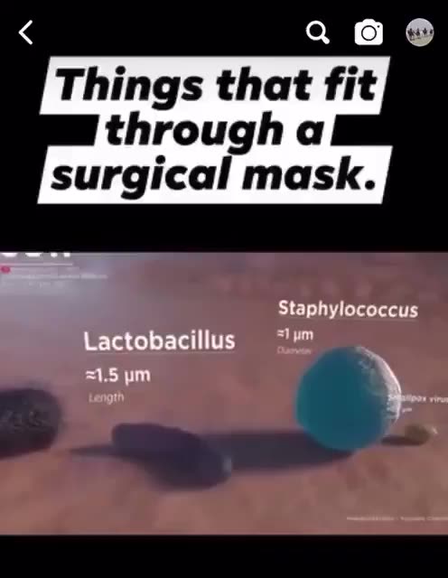 Masks don't work. Period.