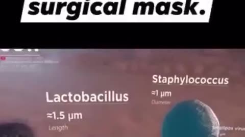 Masks don't work. Period.