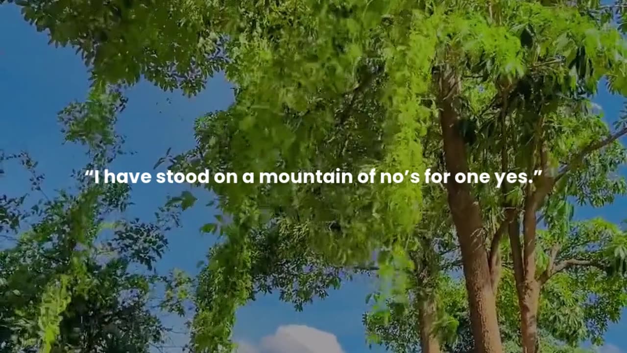 I have stood on a mountain of no’s for one yes.