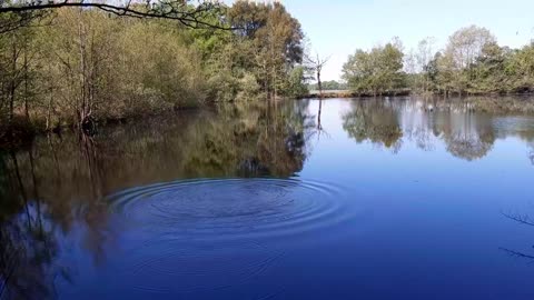 1305WV01 rOnd 11u11 NAAM = VormGeving WATERLAND