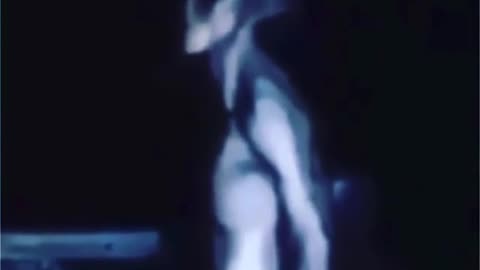 Aliens creatures spotted