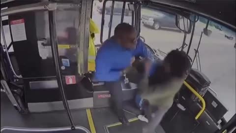 To attack a moving bus driver you must have a very low IQ.