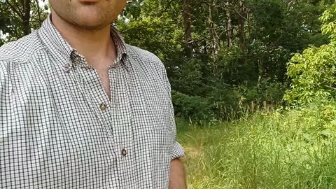 Cap and ball plinking