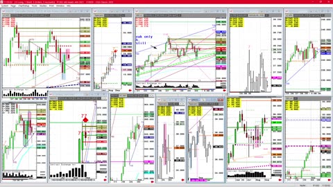 Cattle Sept 3 meat page of charts, by Highs