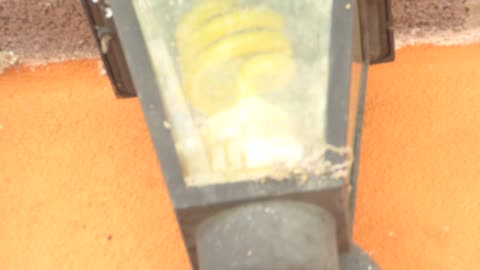 Yellow flourescent light