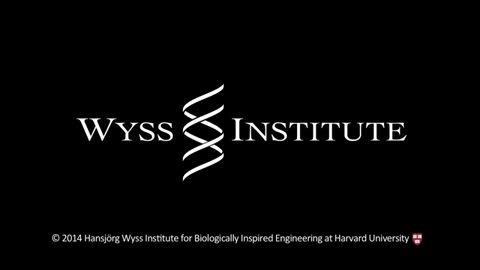 Wyss SynBio Approach to Sepsis Therapy