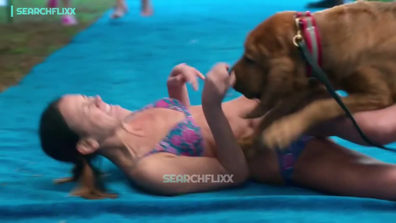 Dogs go wild on the girls at the pet show 💀