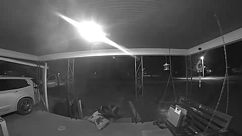 Neighbor's Dog Takes Food From Porch