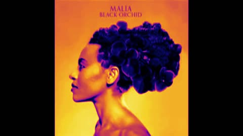 Wild is the wind - Malia Black Orchid - David Bowie 2025 ‪@freek-banning-freestyle‬