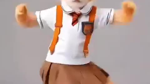 Funny cat for kids