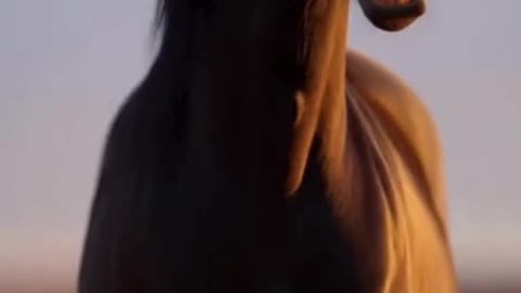 🐎💨 This Horse Running Freely Is Pure Power… And It Feels Unreal ✨
