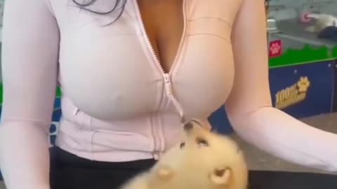 Big bouncing tits chubby.