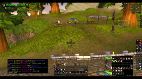 Turtle wow - Melee HC Slow and Steady Hunter - Part 15 - No commentary