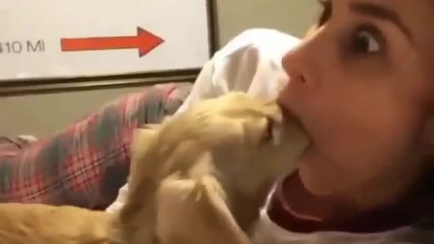 funny animals