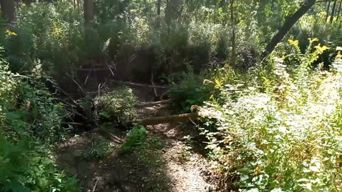 Hiking the Bruce Trail - Thorold-Pelham