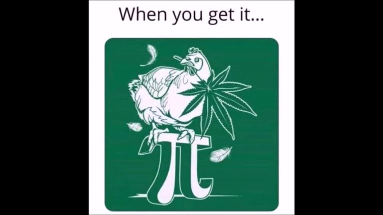 102325 Funny Laugh Out Loud Hilarious Memes Jokes Cartoons