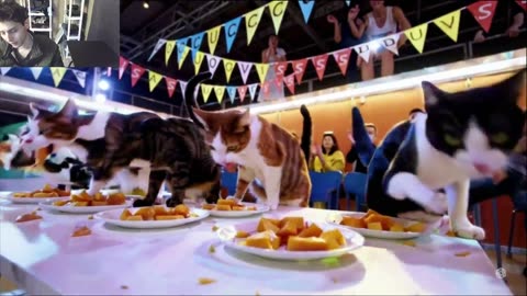 Outtake #1,191 Of The Cats Attempt The Mango Eating Contest Fake Funny Parody Video