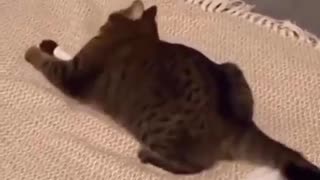 News Break