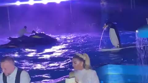 🤣🤯 You Won't Believe What My Dreams Look Like! | FunFM