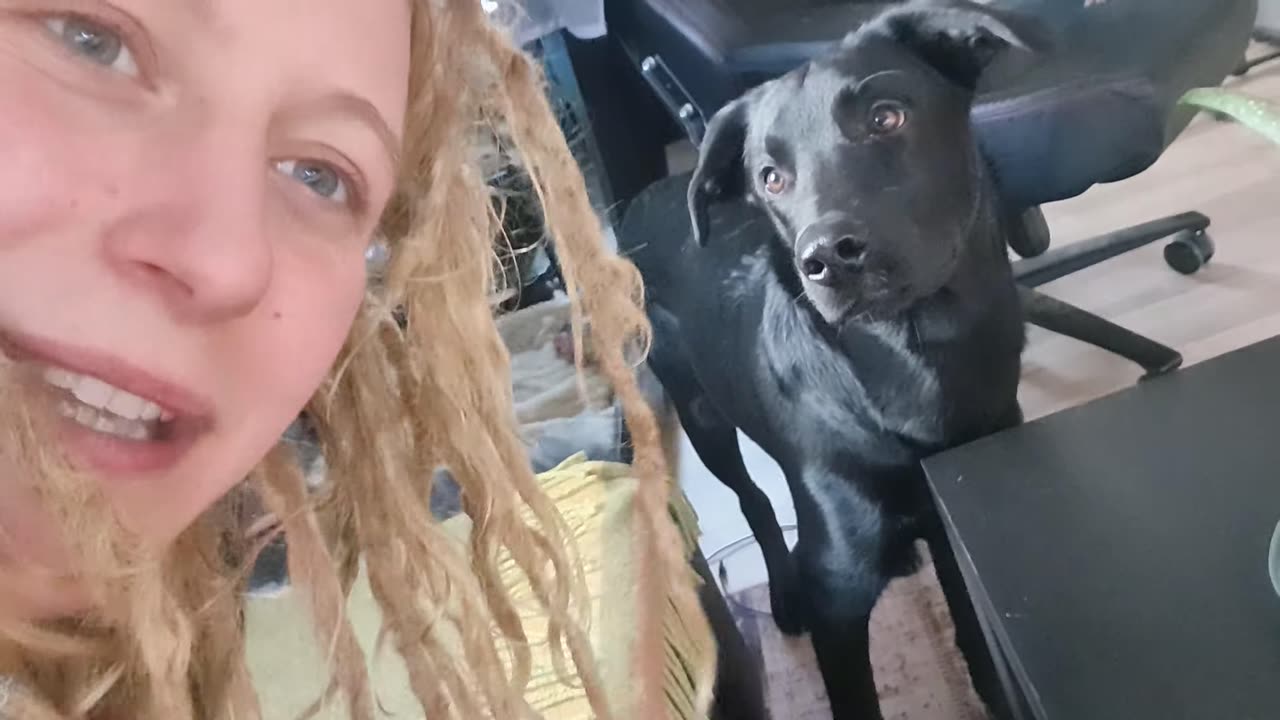 Surrender & trust 🙏🏼