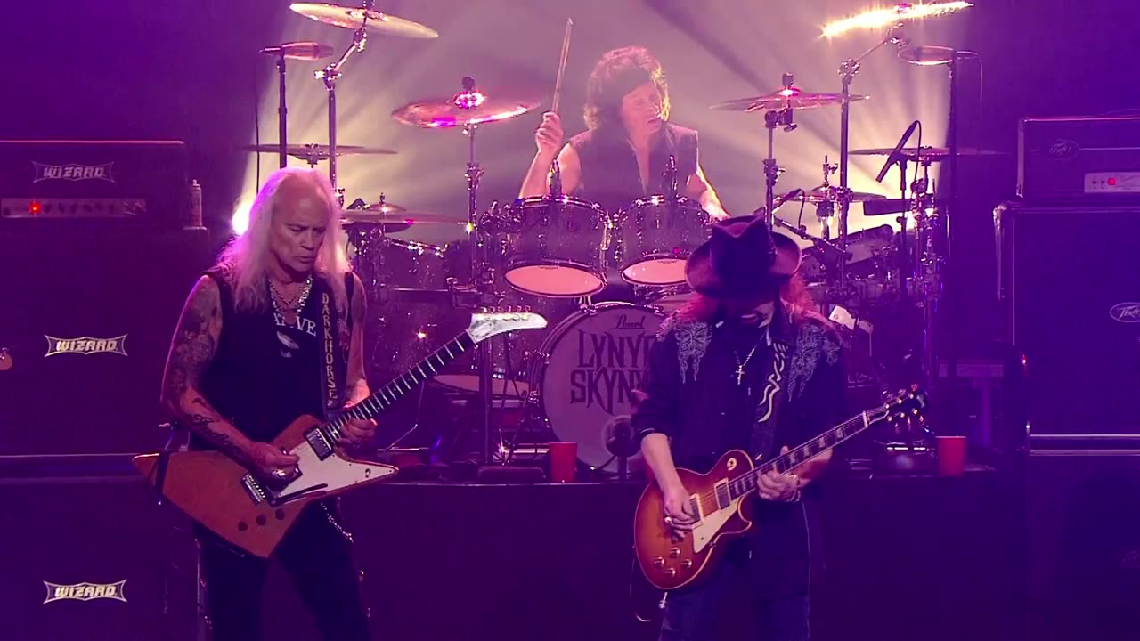 I Need You - Lynyrd Skynyrd (live)