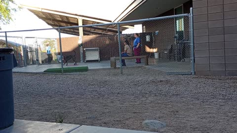 PACC shelter