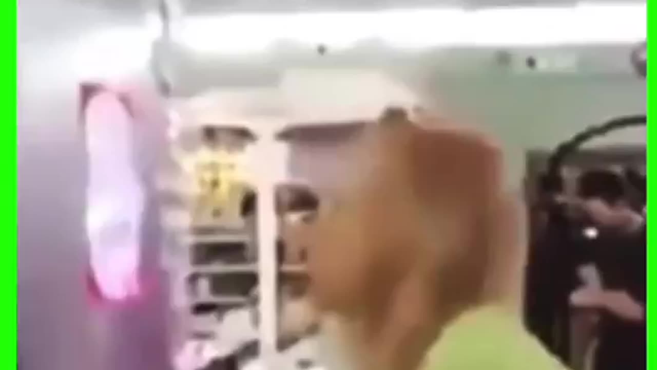 New fridge design with RFK Jr in mind