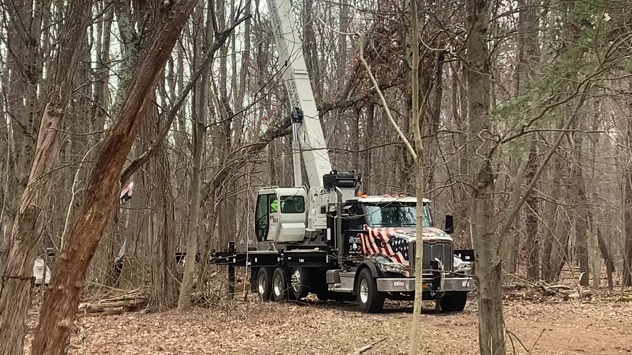 Overhanging oak limb goes down