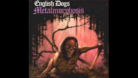 english dogs - nightmare of reality