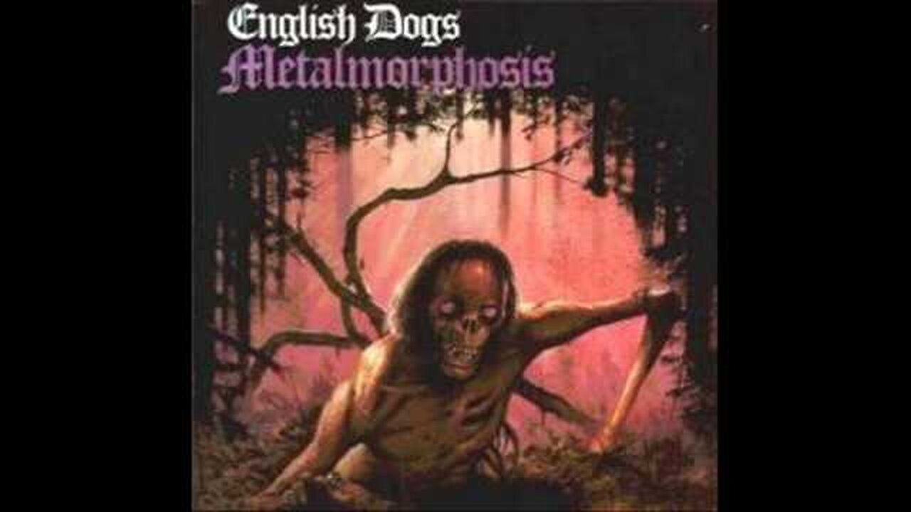 english dogs - nightmare of reality