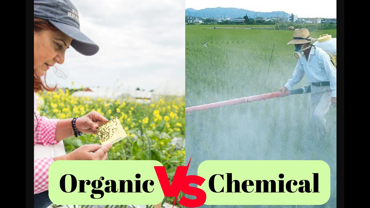 Organic No Better Than Pesticides - Really?