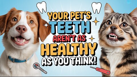 Your Pet’s Teeth Aren’t as Healthy as You Think! #petdentalhealth #DogTeethCare #petwellness