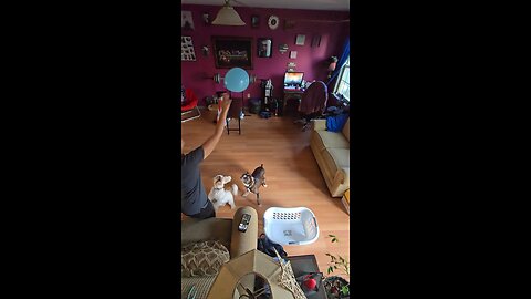 Larry & Charlie with a Balloon
