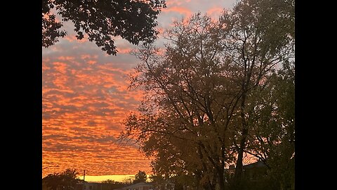 Wonders of Nature 🩷