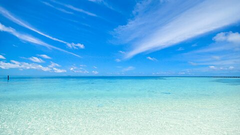 Majestic White Noise (Black Screen) | Smooth and Steady Noise for Calm and Productivity