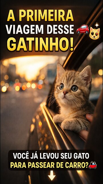 This Kitten's First Car Trip 🐱🚗 | Look at Those Eyes!