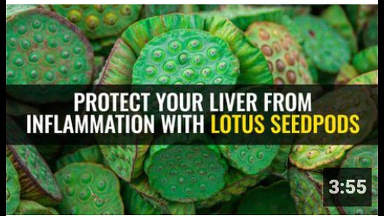 "Lotus Seedpods: An Effective Solution to Protect Your Liver from Inflammation"