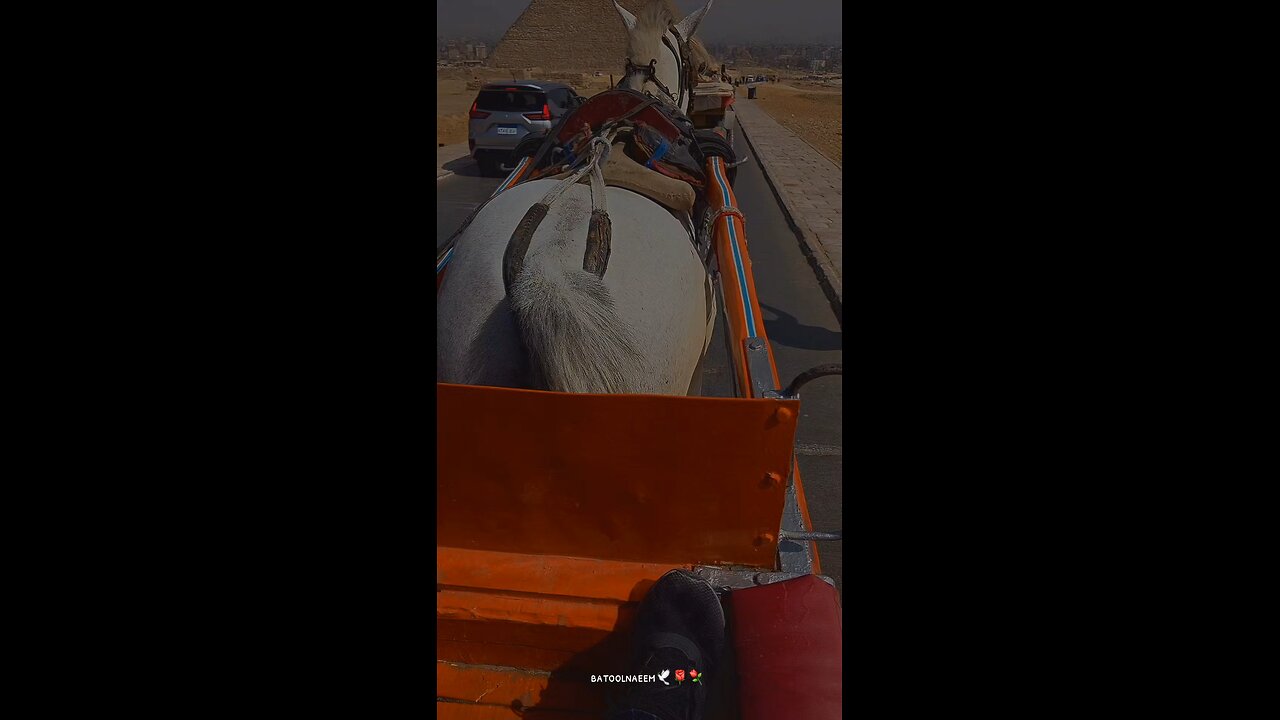 #foryoupage#viralvideo