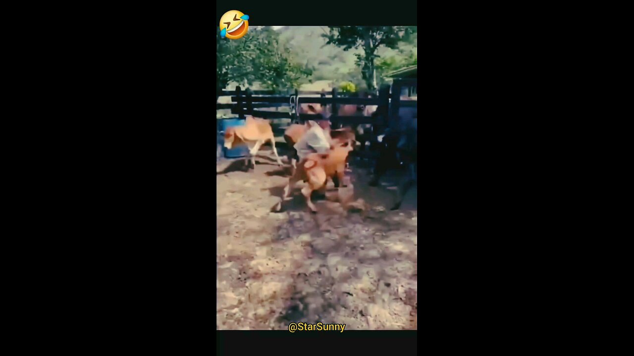 comides fun video