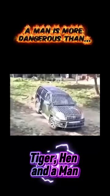 A Man Is More Dangerous Than Any Creature