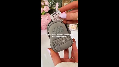 Micro make up bag