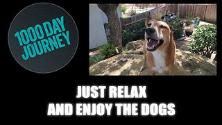 1000 Day Journey 0790 Just Relax and Enjoy the Dog Today