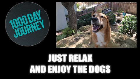 1000 Day Journey 0790 Just Relax and Enjoy the Dog Today