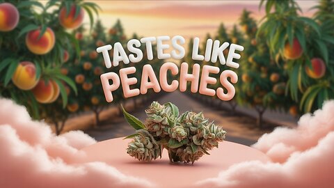 Orange 🍊 peach from JK Distro