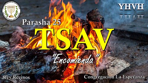 Parasha #25 Tsav