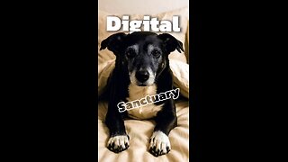 Welcome to your digital sanctuary.