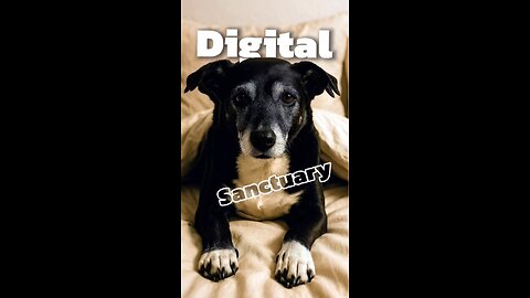 Welcome to your digital sanctuary.