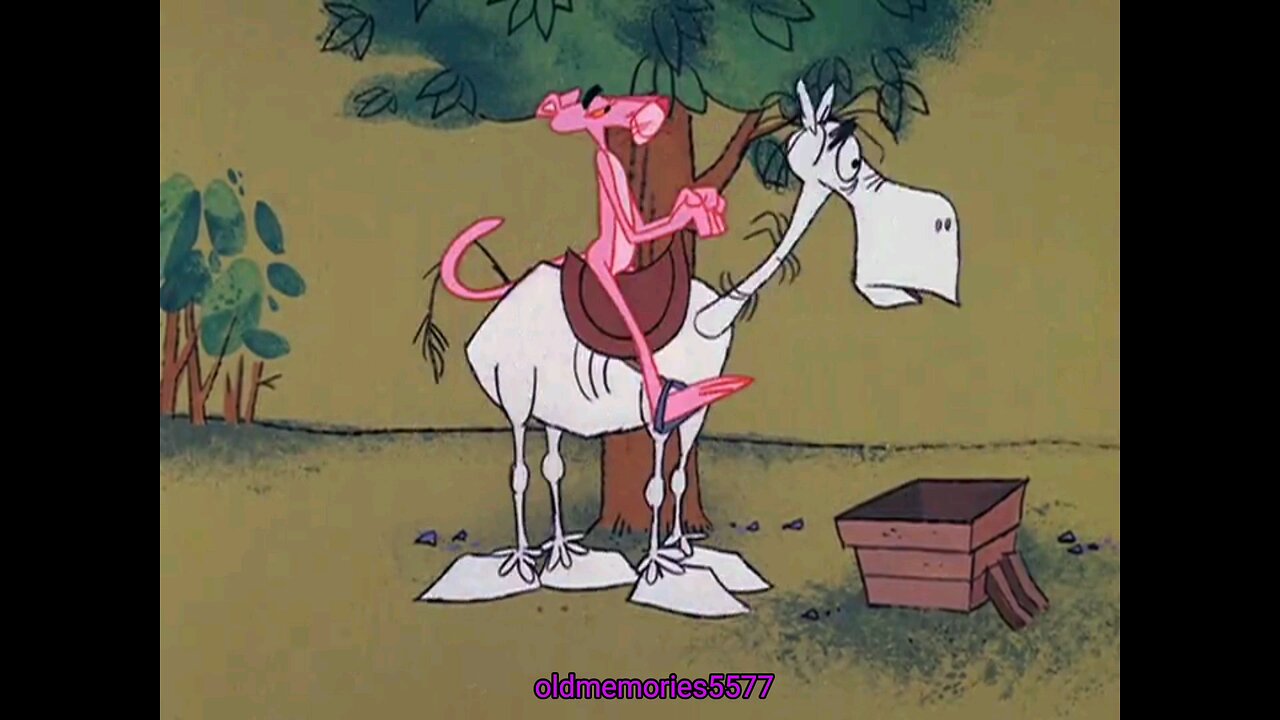 Pink Panther Pinto Pink