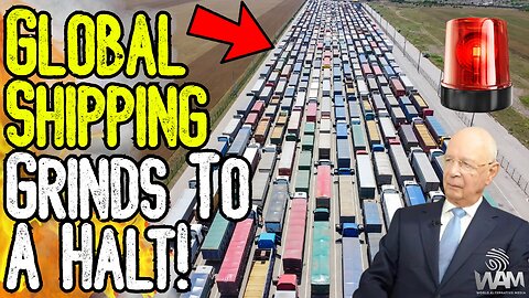 EMERGENCY: GLOBAL SHIPPING GRINDS TO HALT! - Net Zero Meat Bans & Panic Buying Imminent!