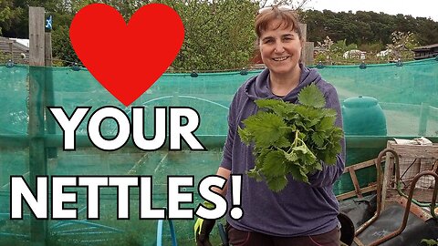 Don't Get Rid Of Your Nettles - Make This Soup!